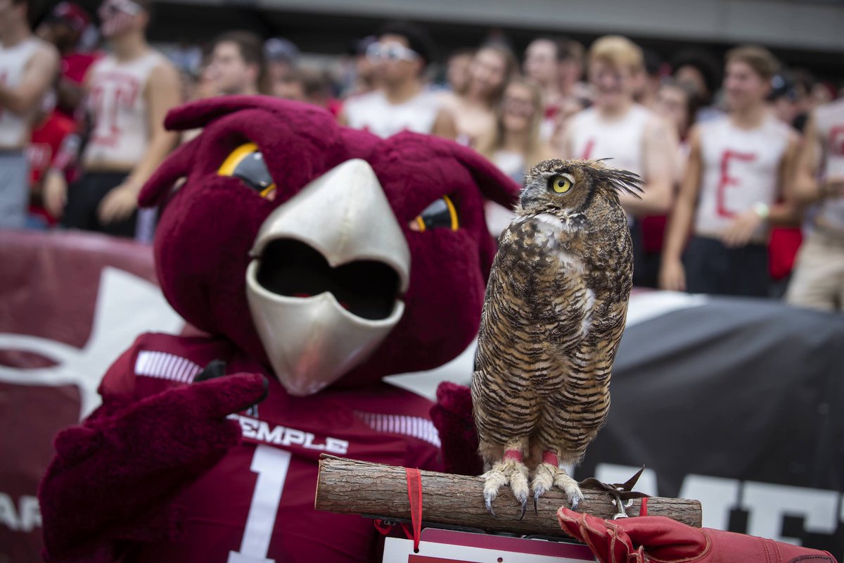 Red owl mascot standing next to owl standing on branch