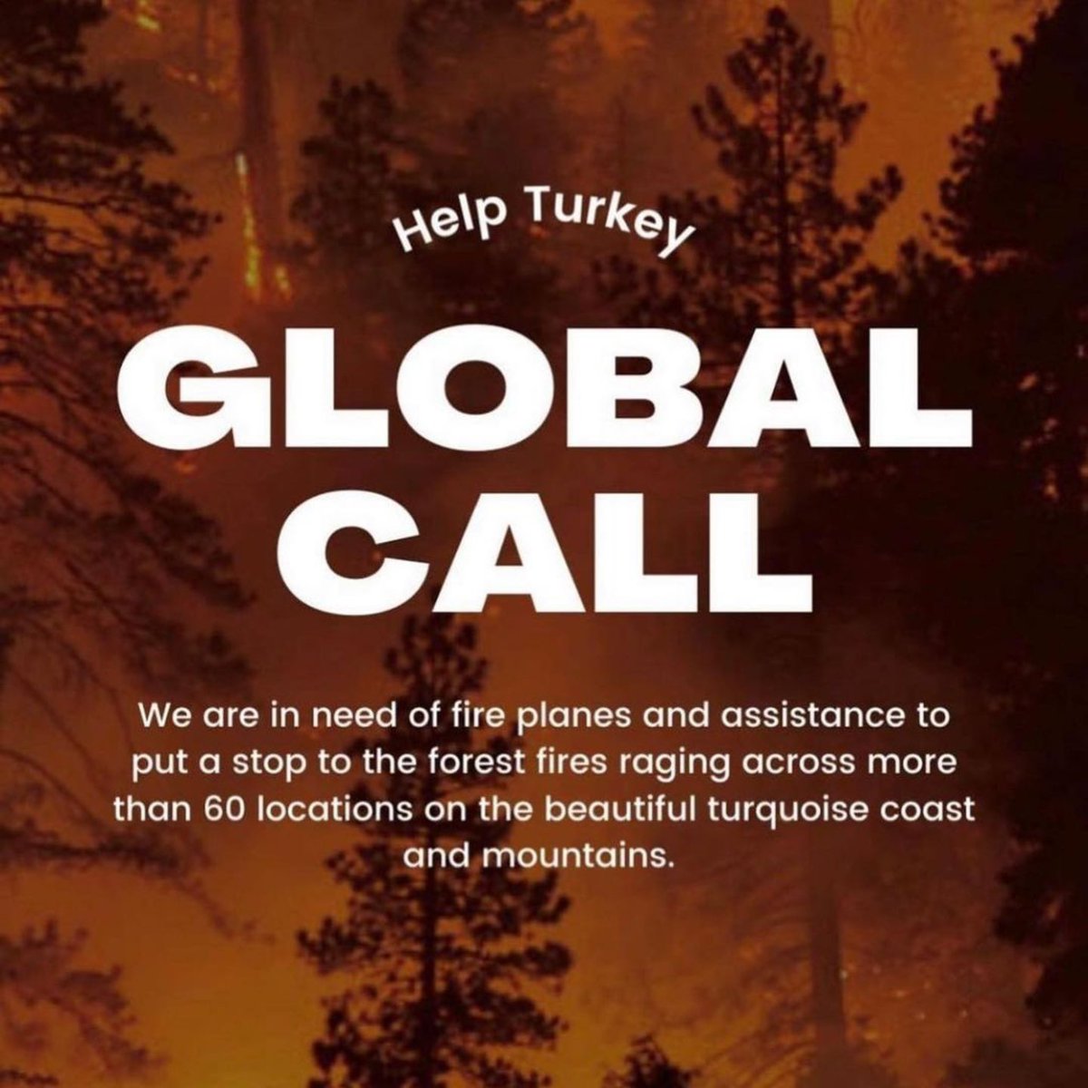 🚨I am calling all the countries who can help us. We are perished and devastated with the total 112 fires. The ones that we can’t stop are still going so strong. We dont have enough fire fighting planes to stop it. We lost 8 people, so many animals and our forests. #helpturkey