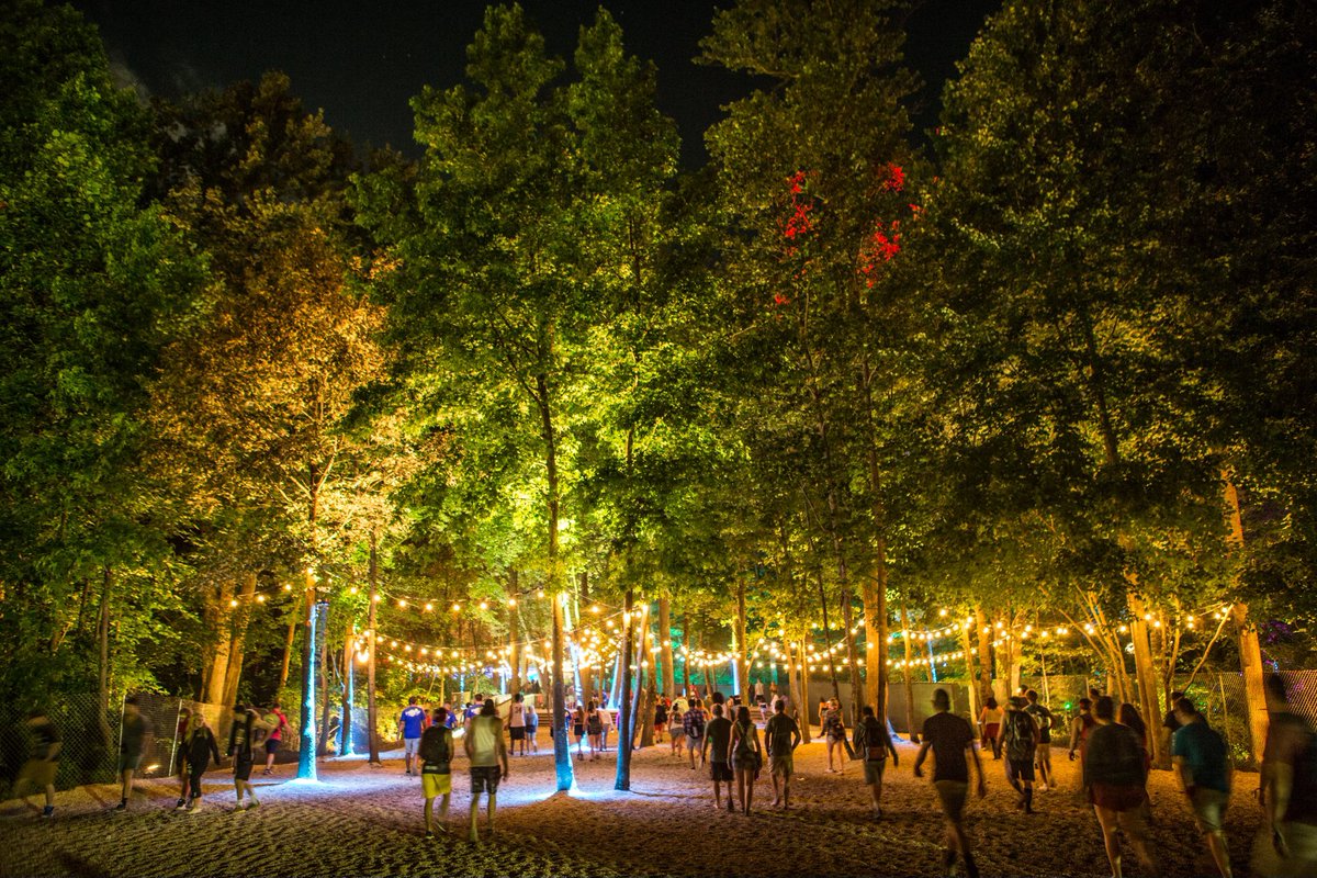 LiveAtFirefly's tweet photo. Evening stroll through the quiet trees 🌙🌲 https://t.co/t7slDqKrRK