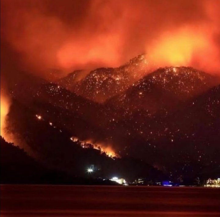 YA RABBİ!
Nuh Tufanında suya dur dediğin gibi
Kızıl Denizi Hz.Musa'ya açtığın gibi
Hz.İbrahim'i ateşten
Hz.Yusuf'u kuyudan
Hz.Eyyüp'ü yaralarından
İki cihan serveri 
Hz. Muhammed (S.A.V)'i müşriklerden kurtardığın gibi bizi de bu beladan kurtar sen ol dersen olur🙏.#helpturkey