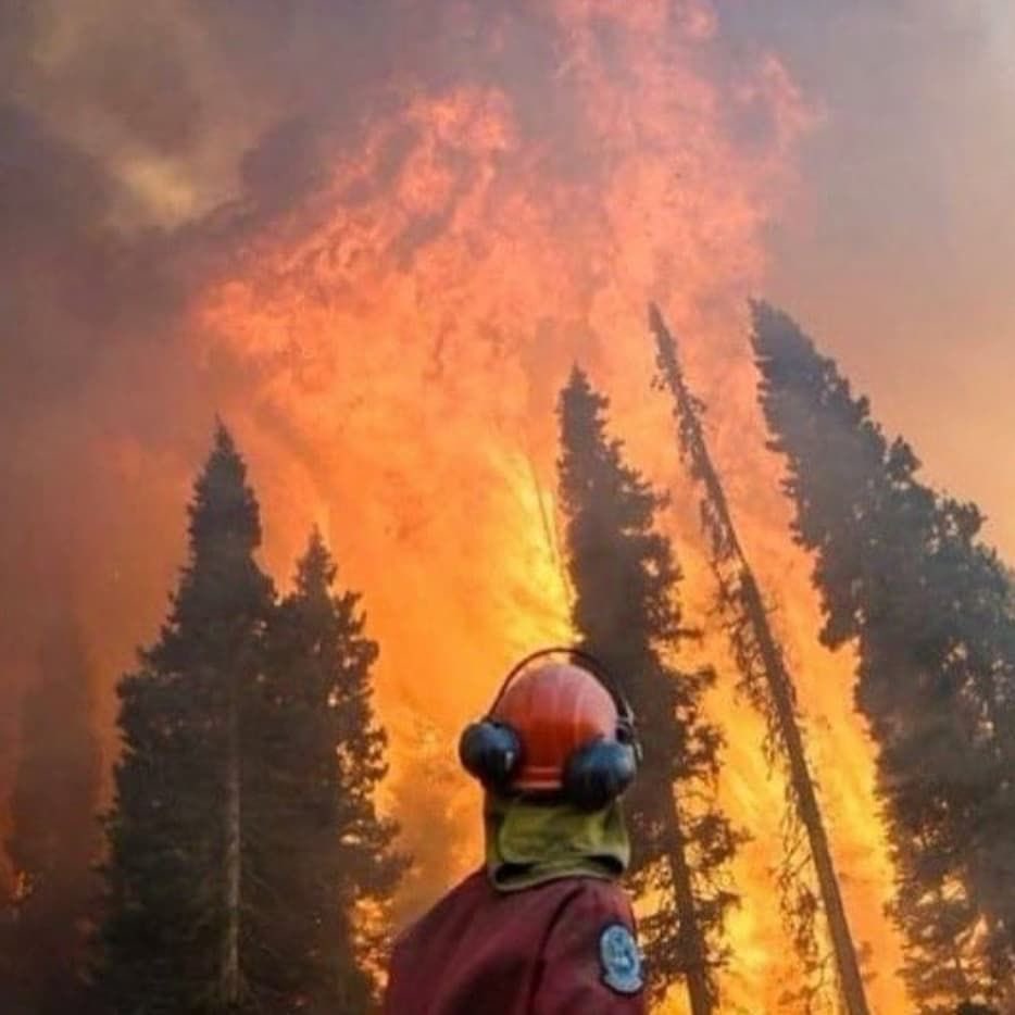 Gece gündüz, canınız pahasına, günlerdir büyük emek ve gayretle verdiğiniz mücadele için minnettarız.  #OrmanınKahramanları