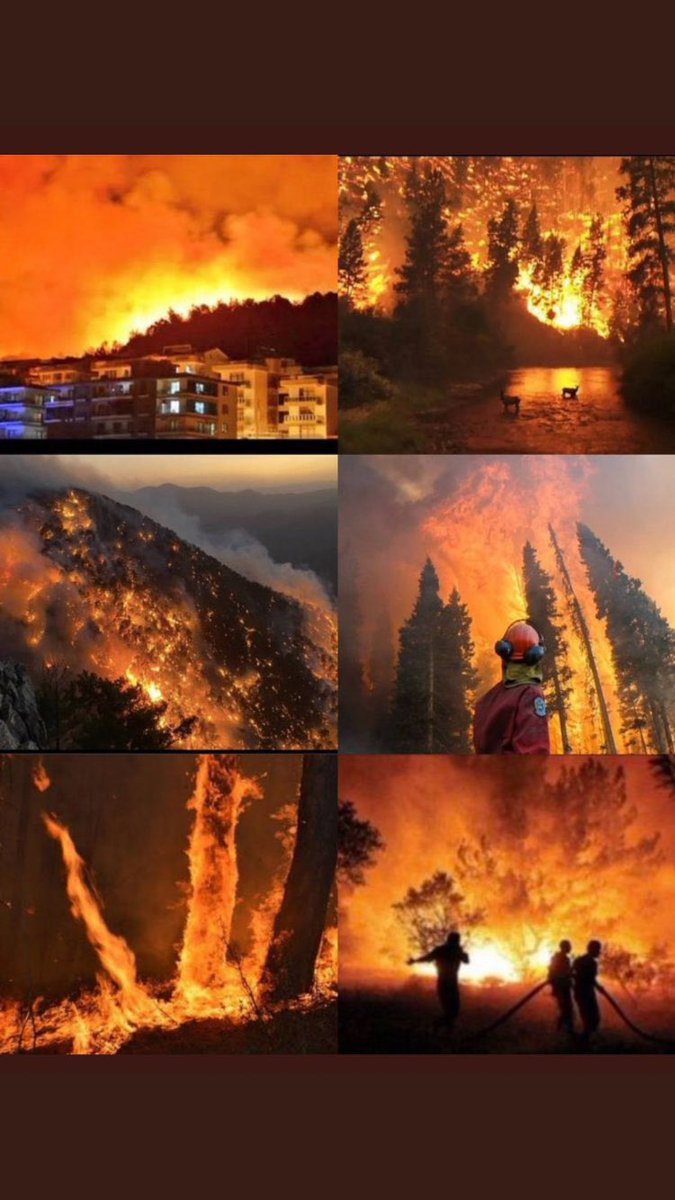 Bunu yapanların Allah belasını versin ! Çıkardıkları yangın ölüm nedenleri olsun.  #AtesinCocuklari