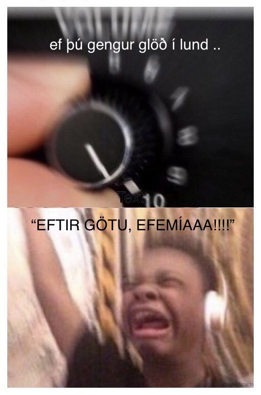 Valgerður Agla (@valgerdursvagla) on Twitter photo 