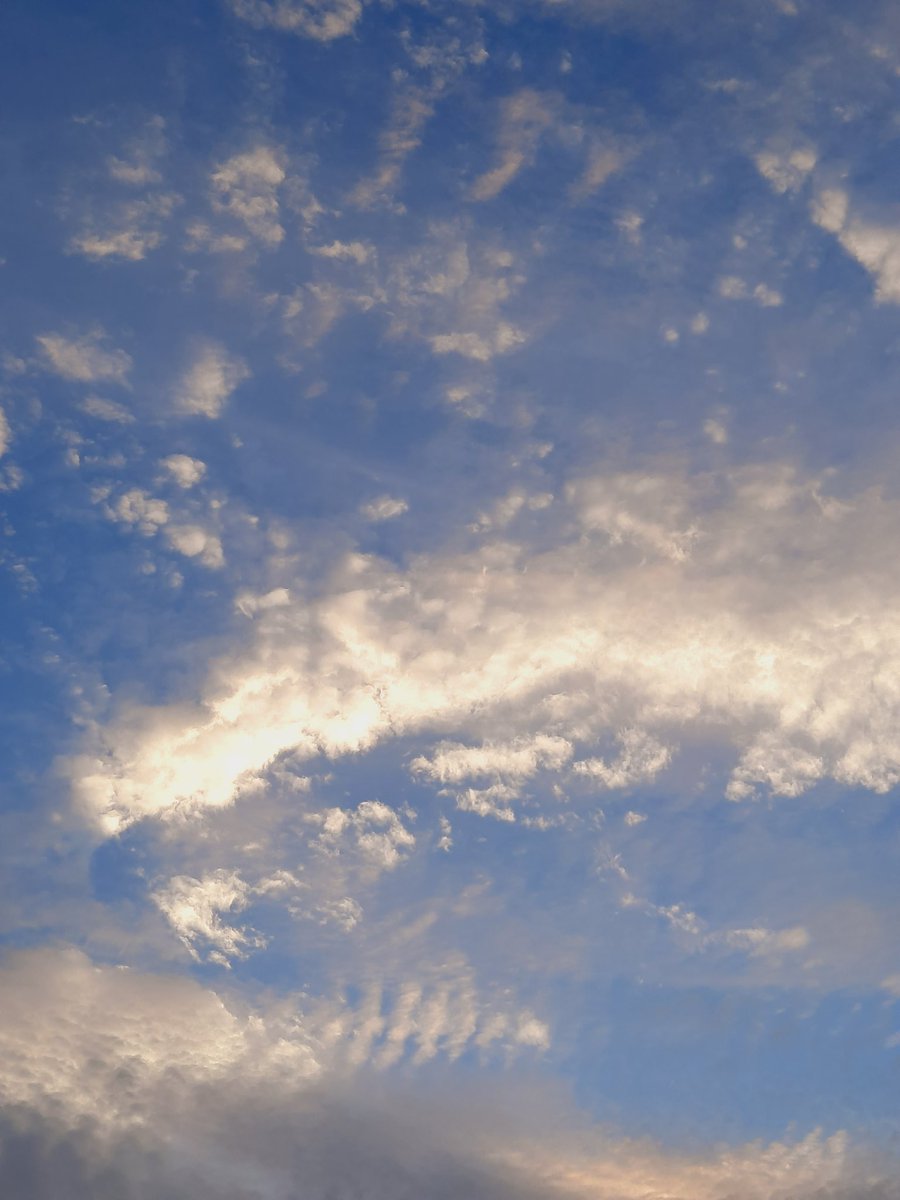 Rafiyasaifi13's tweet image. But I can see us lost in the memory
August slipped away into a moment in time
Cause it was never mine
#saltair #TaylorSwift #taylorswiftaugust #august