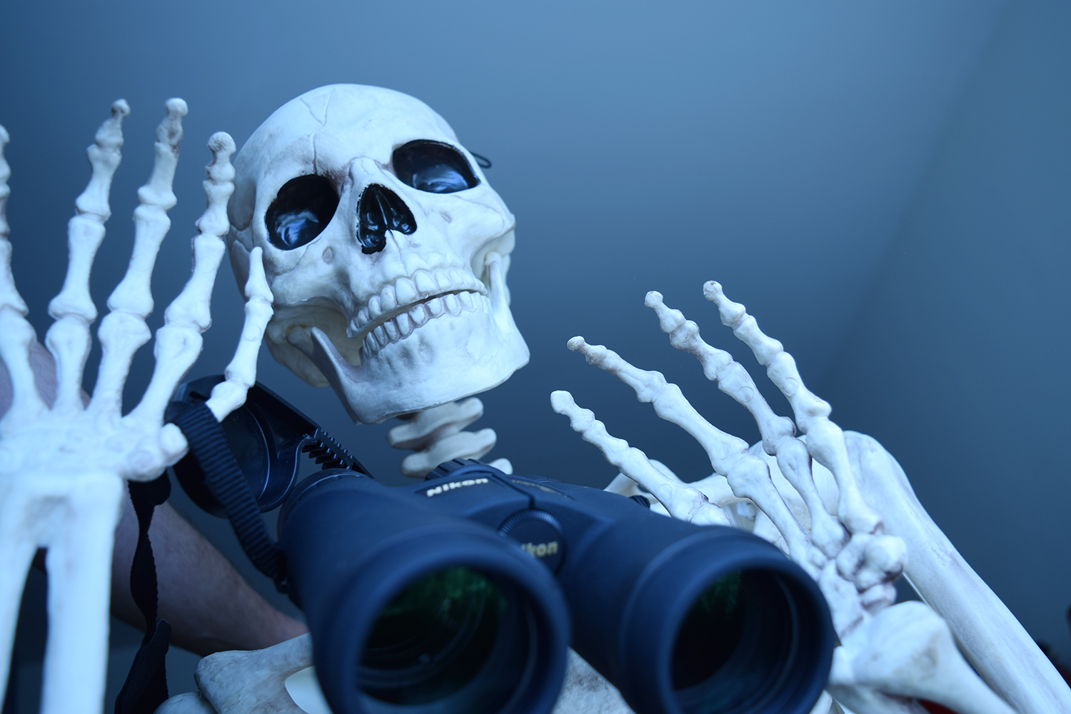 - https://t.co/GfqwqHWv7Y ADMIN https://t.co/TBBTEy8Mmg