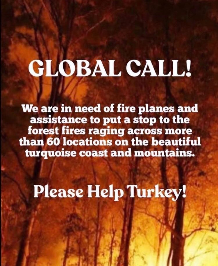 🚨I am calling all the countries who can help us. We are perished and devastated with the total 112 fires. The ones that we can’t stop are still going so strong. We dont have enough fire fighting planes to stop it #helpturkey