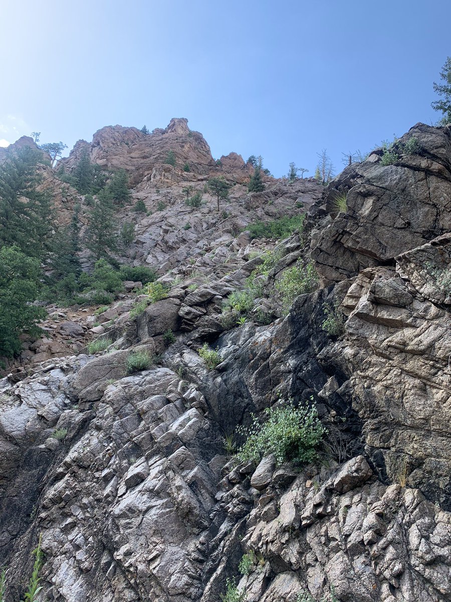 crbbredice's tweet photo. Been back in Michigan for 14 hours and I already miss Colorado! https://t.co/WPaYOF1I6e