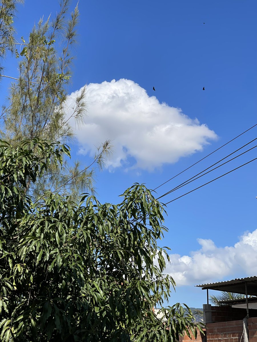 Admirar o céu antes de iniciar o dia é uma ótima forma de gratidão à vida 😌🌤
