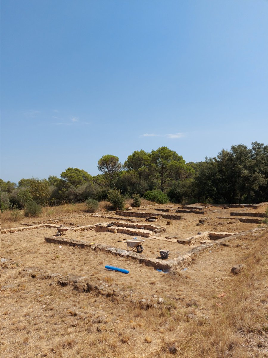 RoviraHortala's tweet photo. Acaba la campanya per consolidar i adequar sectors del conegut #jaciment #iber del #MasCastellar de #Pontós . Excel.lents treballs de l'Enriqueta Pons, l'equip de Rocs i col.laboradors. #ibers #iberos #cultura iberica #iberic #arqueologia #archaeology #archéologie https://t.co/4uvrGvz4Ez
