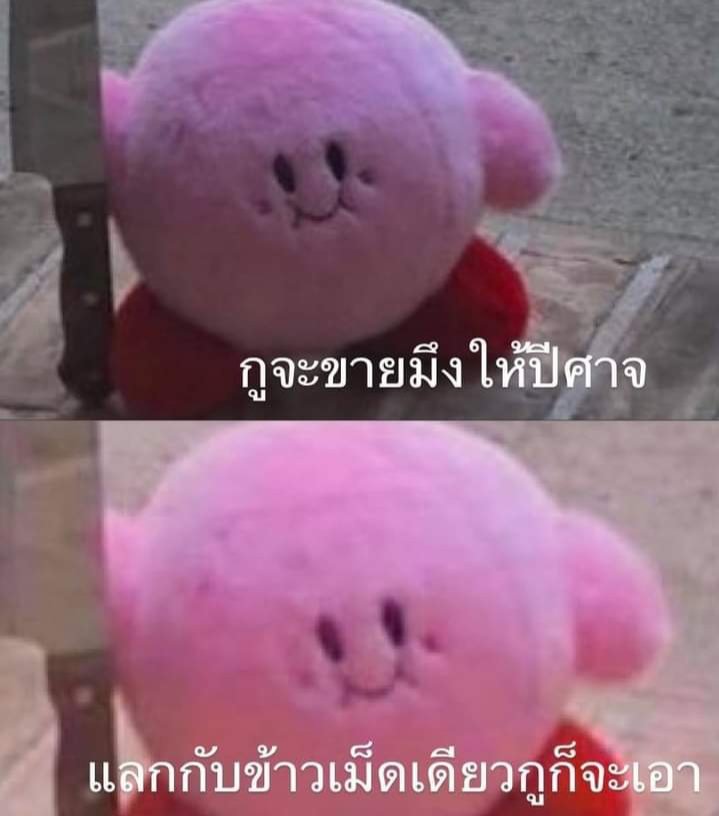 เดือนอ้าย -rest- tweet media