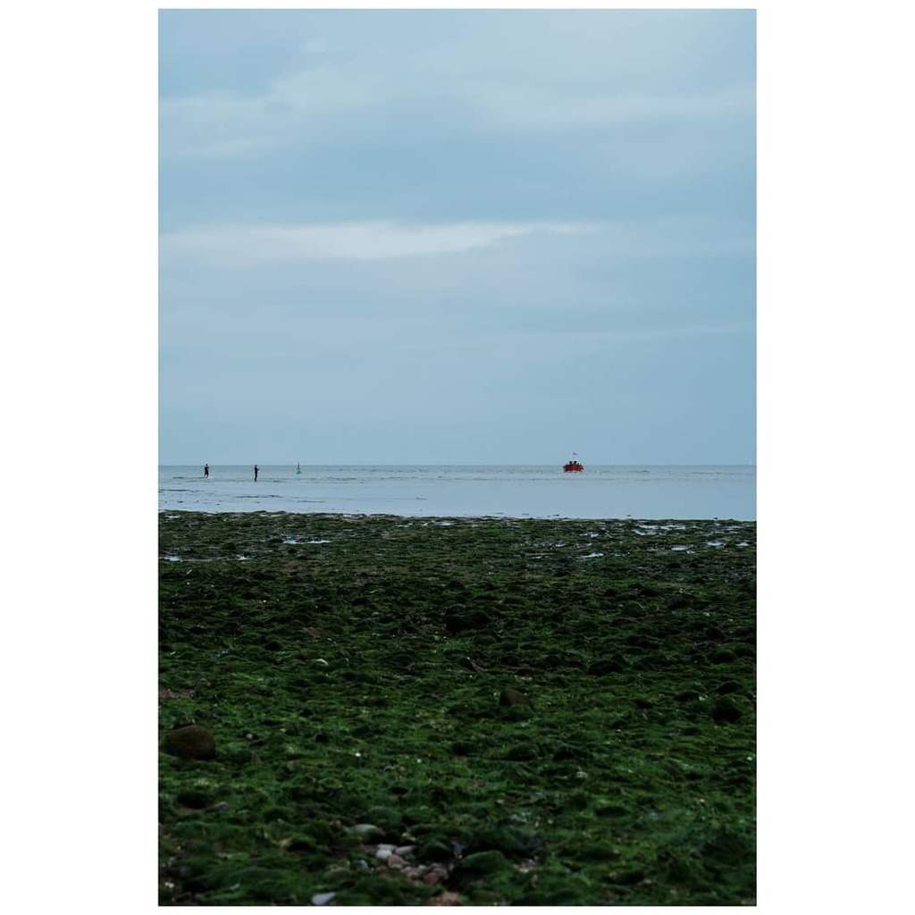 daniel_ellis_wp's tweet photo. Red, green and blue.
.
.
#seascapes #redboats #redgreenandblue #seaweed #slipperyrocks #lowtide #seafishing #seafishinguk #washedout #distanthorizons #onthehorizon #beachwalks #beachphotography #everydayphotography #everydayscenes #documentlife #capturin… https://t.co/UcmatV3iwo https://t.co/CQr3XvoMJz