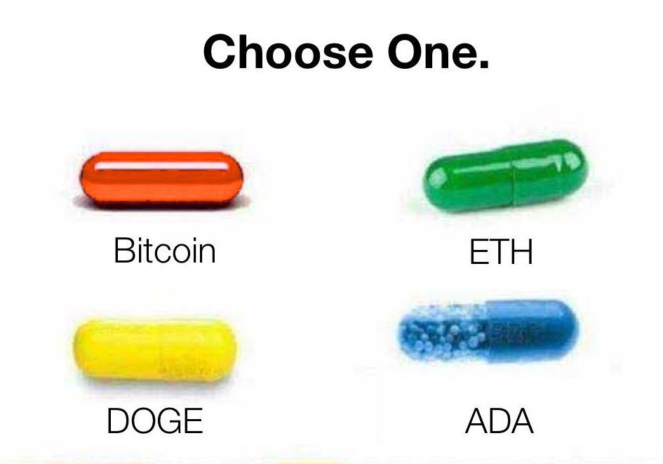 Which would you choose?
🟠 #Bitcoin 
🟢 $ETH
🟡 #dogecoin
🔵 #ADA