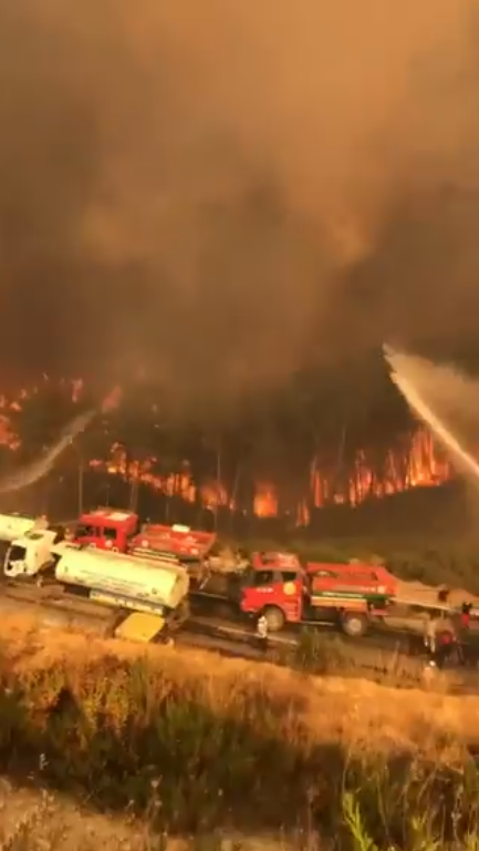 TheErimtanAngle's tweet photo. #ManavgatYaniyor: The #NewTurkey is still burning up . . . and people are beginning to complain about the lack of direct divine intervention. https://t.co/jjL94oWKoq