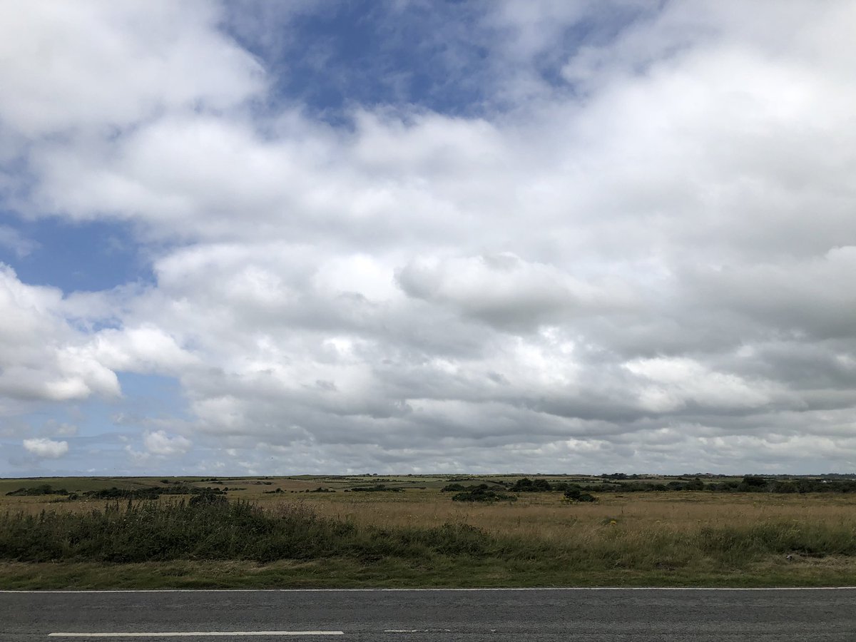 Alison Hadley 🛵 tweet media