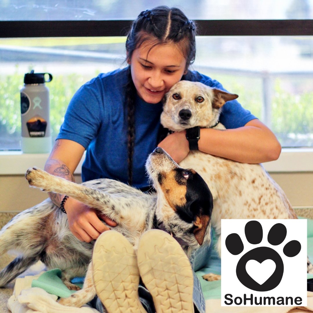 MedfordFoodCoop's tweet photo. ๐๐ @AdoptSoHumane improves the lives of pets and people through sustainable education programs, adoption, and spay/neuter programs. You can create #PositiveChange for #SoHumane with a small donation at the registers throughout the month of August.๐พ https://t.co/dsHkMUCEm4