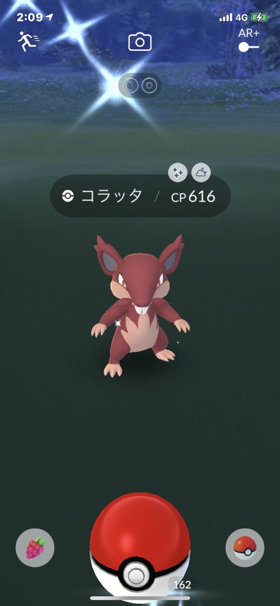 ポケモンgo コラッタ アローラ の色違い 入手方法と実装状況 攻略大百科 ポケモンgo コラッタ アローラ の色違い 入手方法と実装状況 攻略大百科