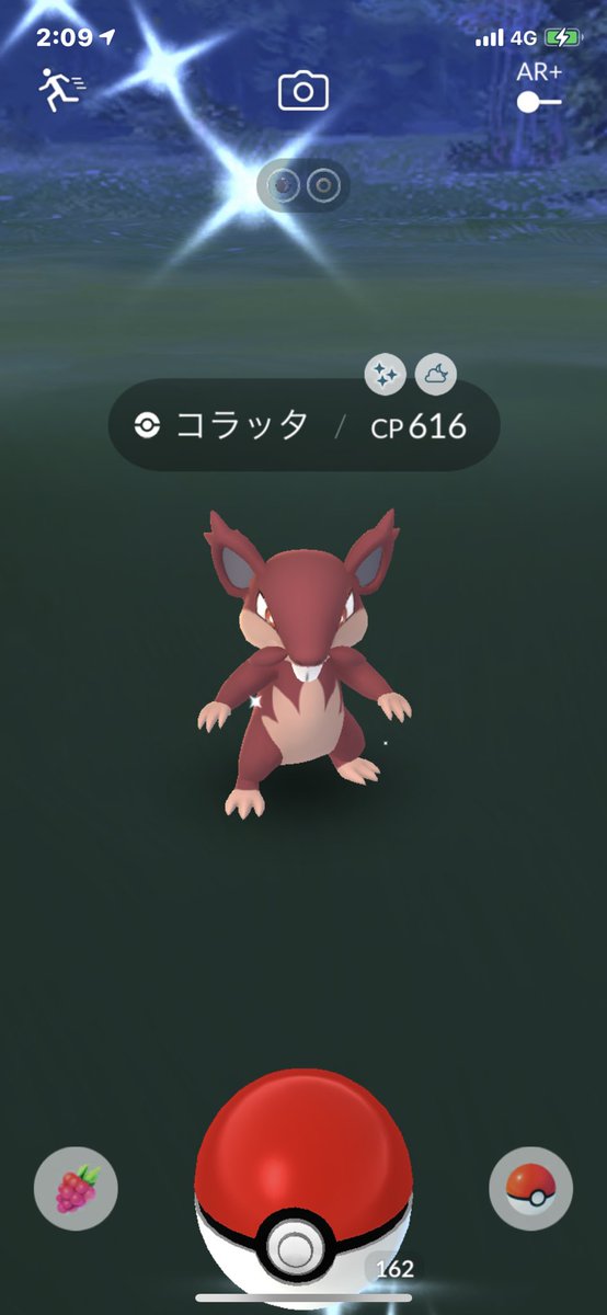 ポケモンgo コラッタ アローラ の色違い 入手方法と実装状況 攻略大百科