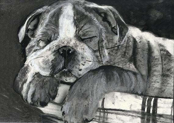 English Bulldog puppy, bulldog wall art, English bulldog owner, bulldog drawing,bulldogs fan, bulldog portrait, English bulldog picture oscarjetson.com/products/engli… #painting #decor #art