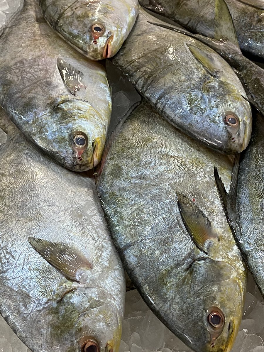Tarpon Dock Seafood Market tweet media