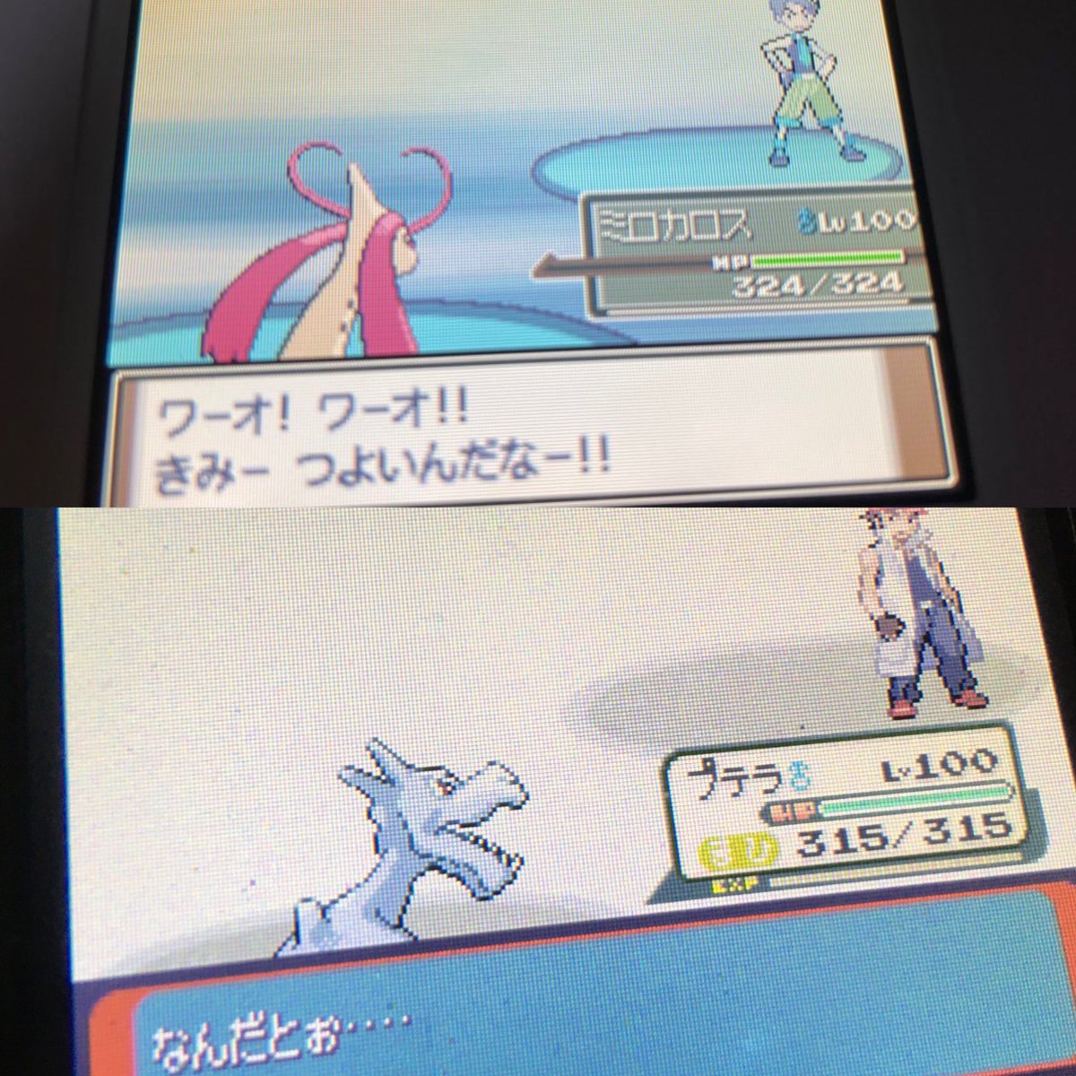 フロンティア ポケモンの 金ネジキ ってそんなに難しいの クオリティ フロンティア ポケモンの 金ネジキ ってそんなに難しいの クオリティ