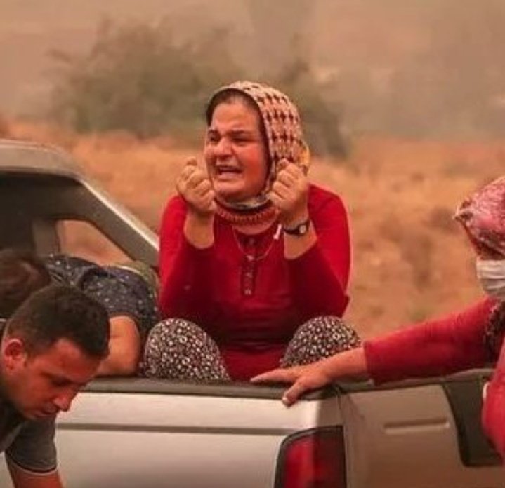 1345gtra's tweet photo. bütün yüreğimle diliyorum
kuş koysunlar ülkemin yoluna
hepsi beyaz olsun, barış adına umuda uçsun
bizde diyelim ki bir ihtimal daha var bu dünyada
vahşet ve kandan başka

Nilgün Marmara 
#TürkiyeYanıyor https://t.co/EKOFu7gE5e
