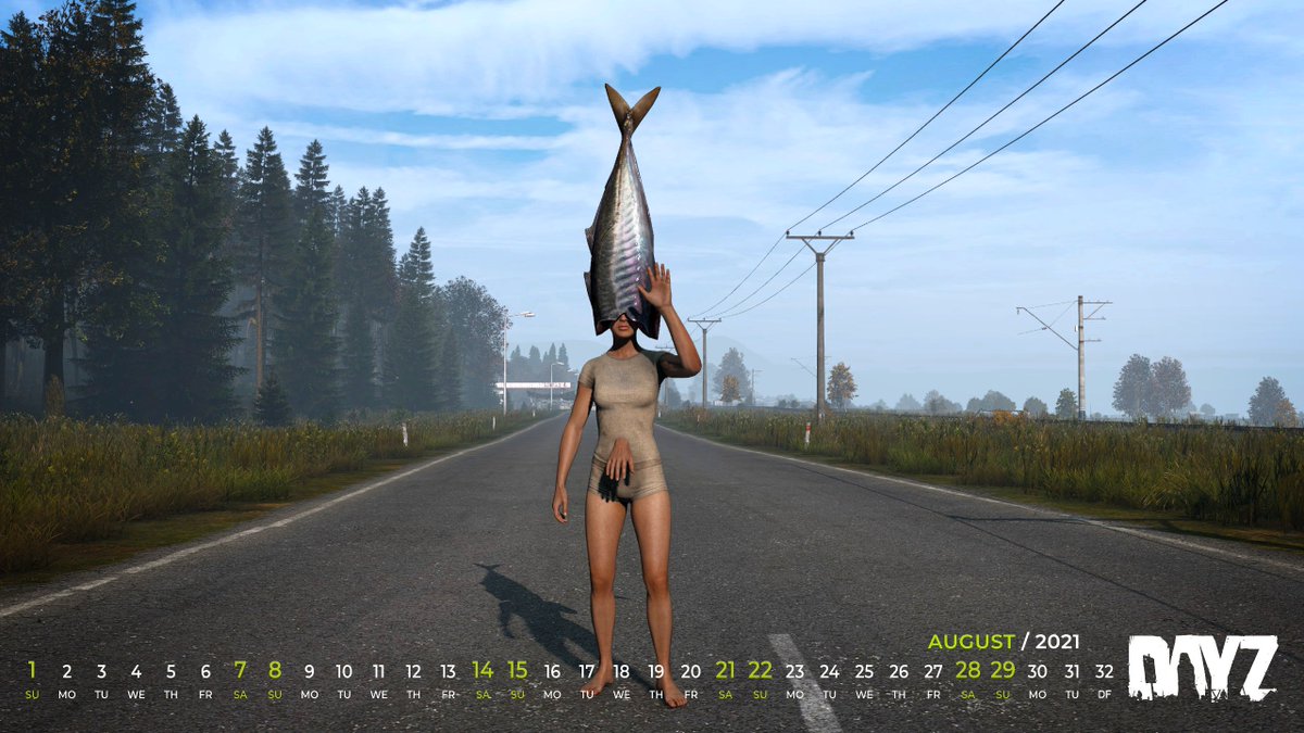 DayZ 🚀🚽🌵 tweet media
