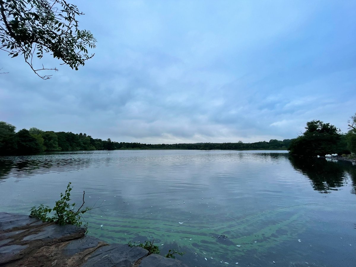 #runstreak day 1,241😍
I’d really lost some confidence for my longer runs, until today! 20 miles in 3hrs 22 mins for an easy paced training run for <a href="/LondonMarathon/">TCS London Marathon</a> made me so happy! Legs felt good &amp; I had so much left in the tank at the end too! The dream is alive!!😍
#ukrunchat