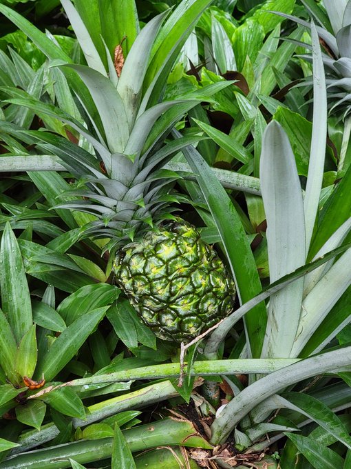 👁💖📸🌺🌱 https://t.co/leerqmns5U<a href="/tag/nfts"class="tags"><span>#nfts</span></a><a href="/tag/nftcollectors"class="tags"><span>#nftcollectors</span></a><a href="/tag/nftdrop"class="tags"><span>#nftdrop</span></a><a href="/tag/nftcollector"class="tags"><span>#nftcollector</span></a>