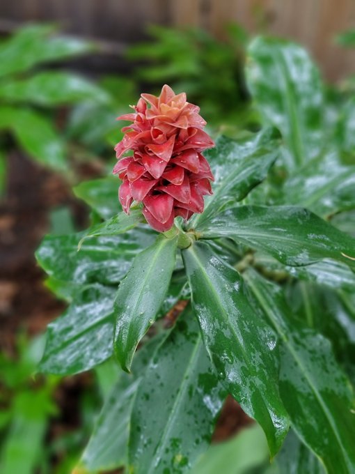 👁💖📸🌺🌱 https://t.co/leerqmns5U<a href="/tag/nfts"class="tags"><span>#nfts</span></a><a href="/tag/nftcollectors"class="tags"><span>#nftcollectors</span></a><a href="/tag/nftdrop"class="tags"><span>#nftdrop</span></a><a href="/tag/nftcollector"class="tags"><span>#nftcollector</span></a>