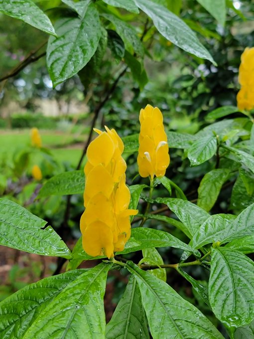 👁💖📸🌺🌱 https://t.co/leerqmns5U