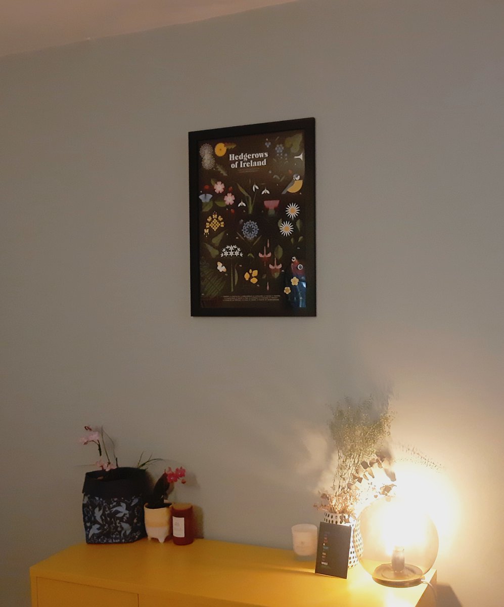 leannecunn's tweet photo. Slowly filling the house with Irish art @SallyCaulwell @SaltyPhilip @jamartfactory @aprilandthebear @ADaily_Cloud @JacobStackArt https://t.co/zuBFe9t4fr