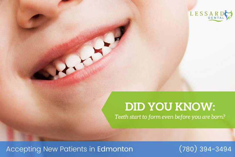 DentalLessard's tweet photo. Did You Know: Teeth start to form even before you are born? Milk teeth or baby teeth begin to form when the baby is in the womb, but they come through when they are between 6-12 months old. https://t.co/zb0SqLtBCK