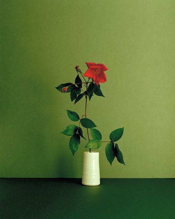 MountenStudio's tweet image. Photography by Kate Fried.