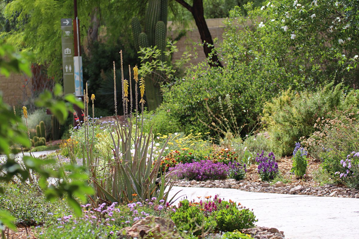 Springs Preserve Nevada Volunteers