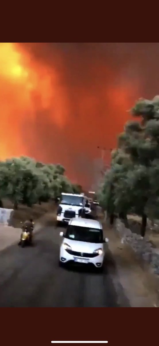 Acil Durum 🆘

Çökertme Köyünde sahipsiz hayvanlar için hiç çalışma yapilmis.İlkokulun bahçesinde çok sayıda yavru kedi mahsur kalmis durumda. Lütfen destek için yayalım 

#BodrumYanıyor
#çökertmeyanıyor
#havadanmüdahaleistiyoruz