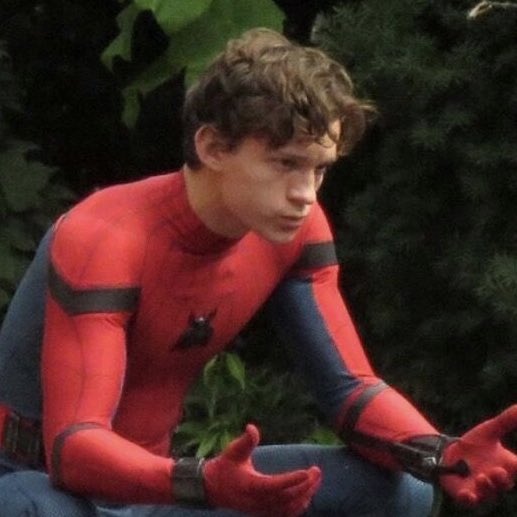 comforthollnd's tweet photo. happy spiderman day! 🕷❤️ https://t.co/VJdqLCb40h