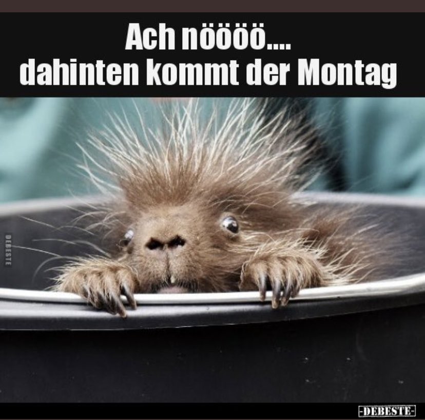 VeronikaHarz's tweet photo. https://t.co/Du81C1yJQC