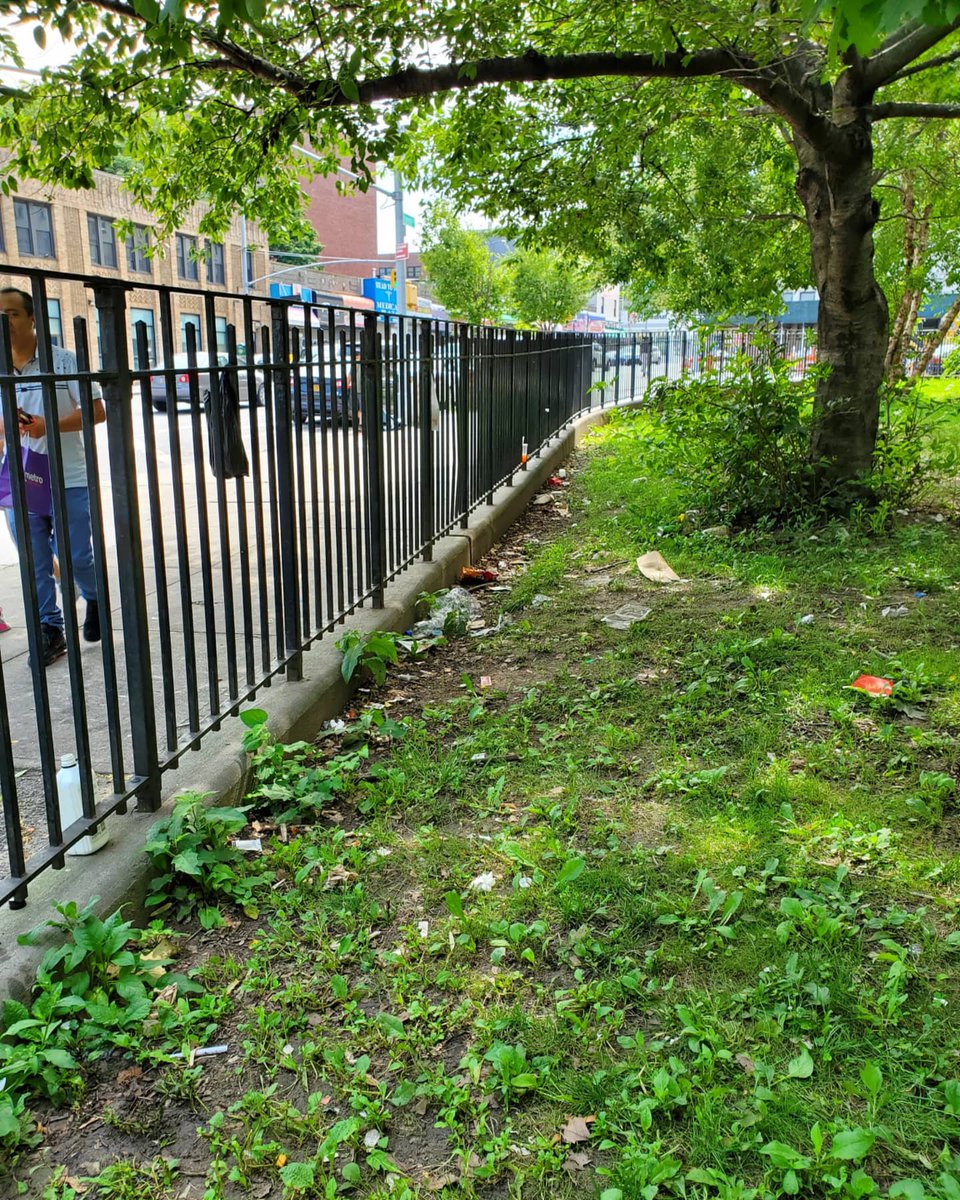 TremontPark's tweet photo. We collected 3 bags of litter today, and saw a hawk hunting.🦅 

#FriendsOfTremontPark #TremontPark #bronxparks  #earthdayeveryday #EastTremont #volunteer #TheBronx #keepthebronxclean #not62 #partnershipsforparks #parkcleanup #pfp #amigosdetremontpark #summercleanup #wearepfp https://t.co/Knx11w0PoT