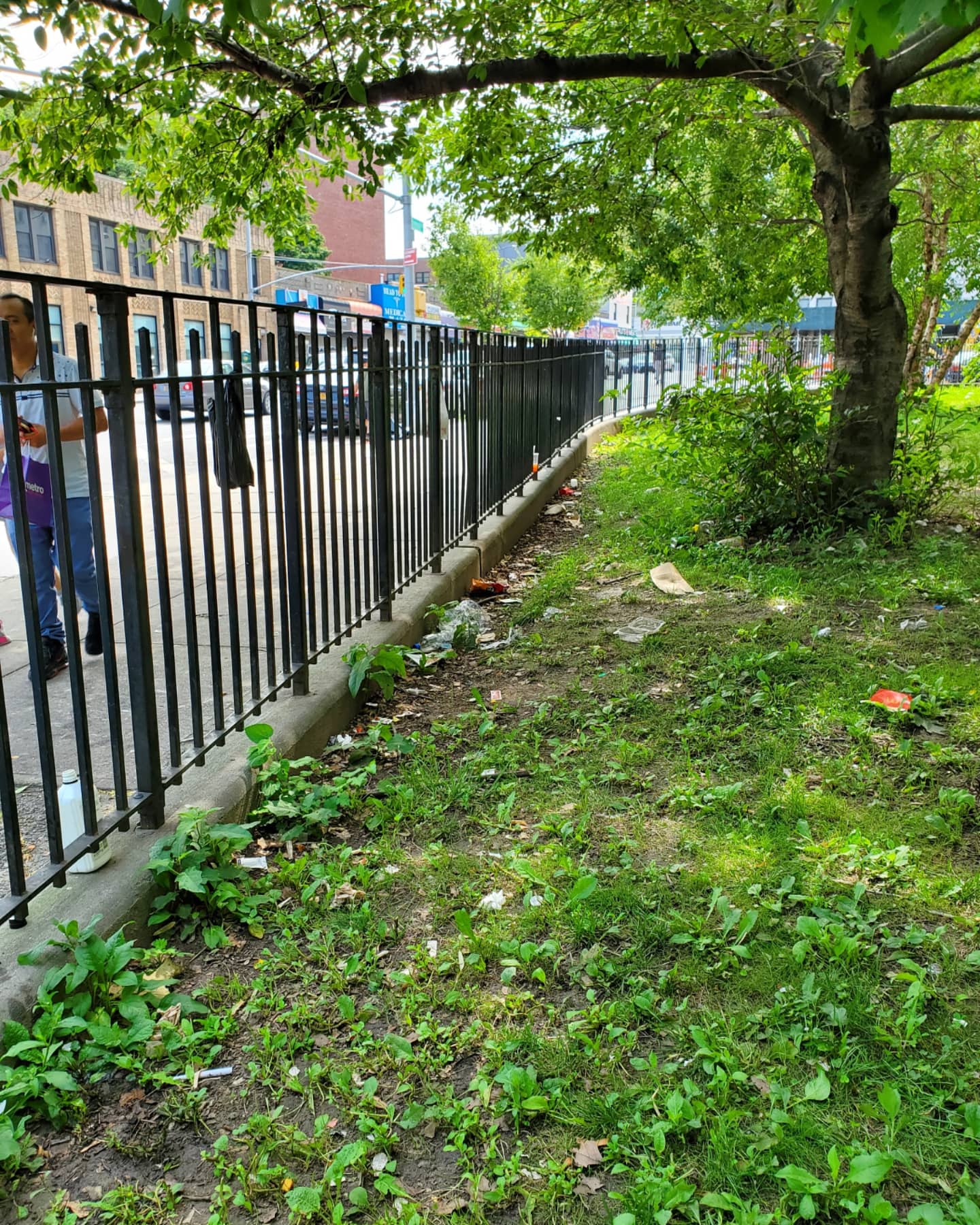 Friends of Tremont Park on Twitter "We collected 3 bags of litter