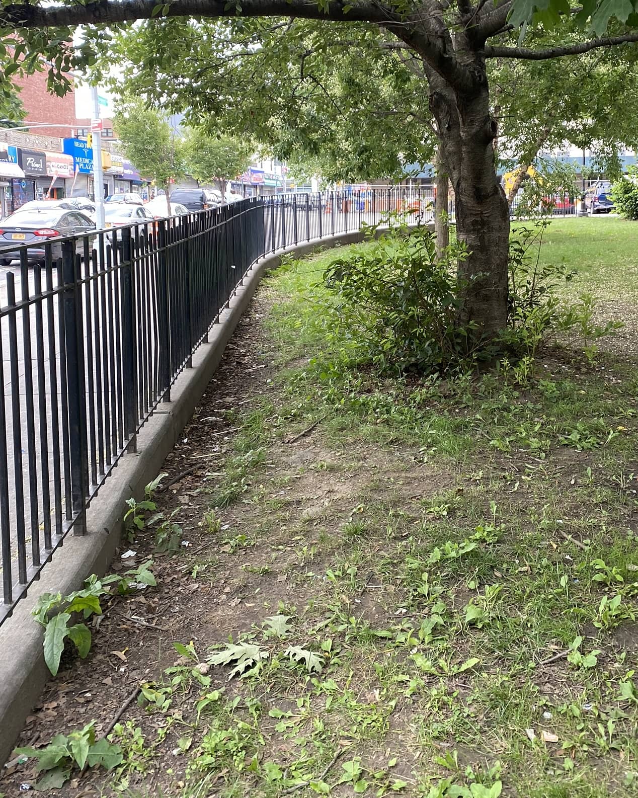 Friends of Tremont Park on Twitter "We collected 3 bags of litter