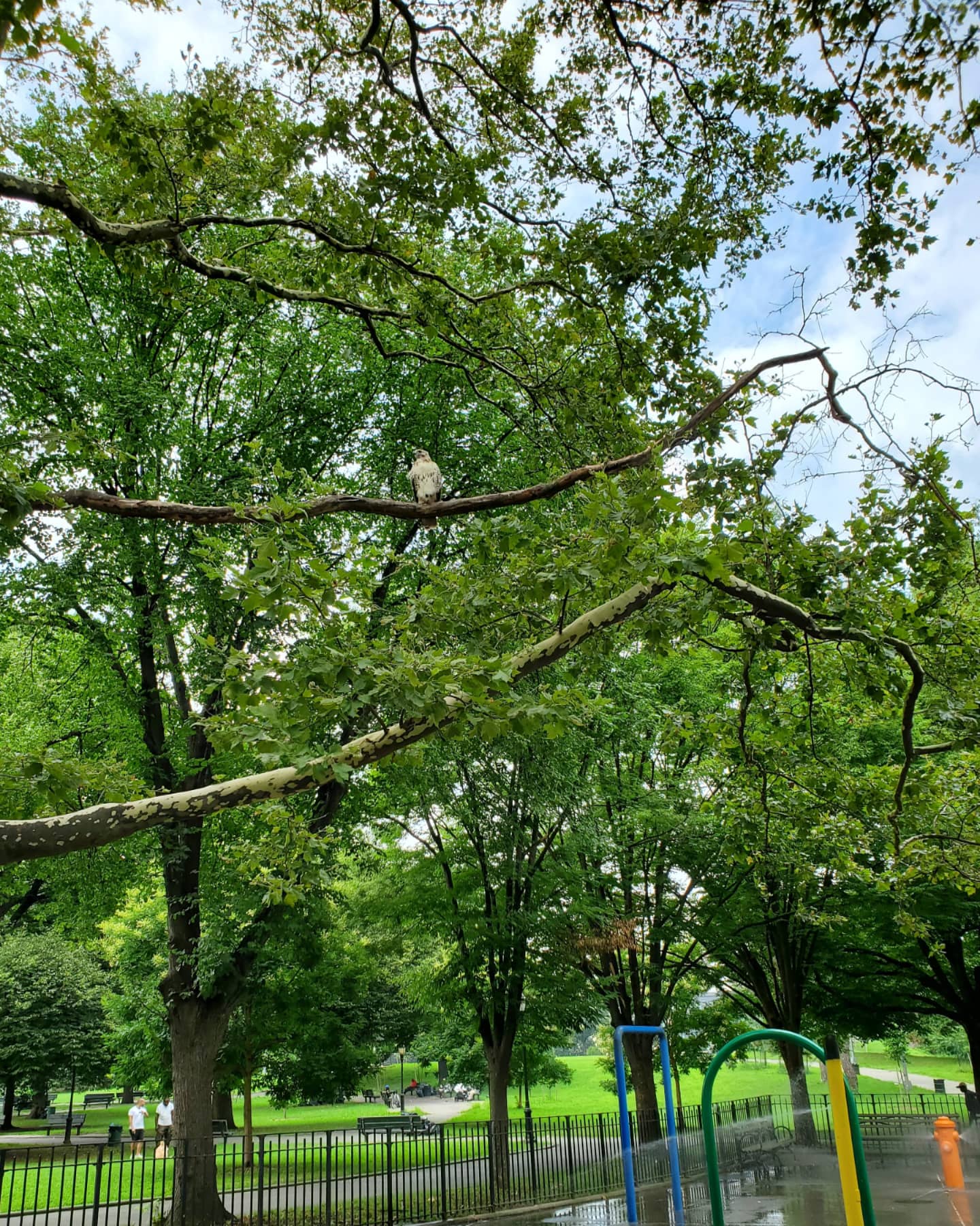 Friends of Tremont Park on Twitter "We collected 3 bags of litter