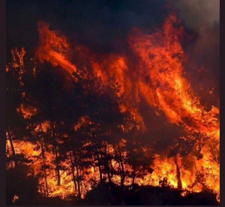 Gören herkes hashtaga destek verebilir mi arkadaşlar lütfen..

#helpturkey