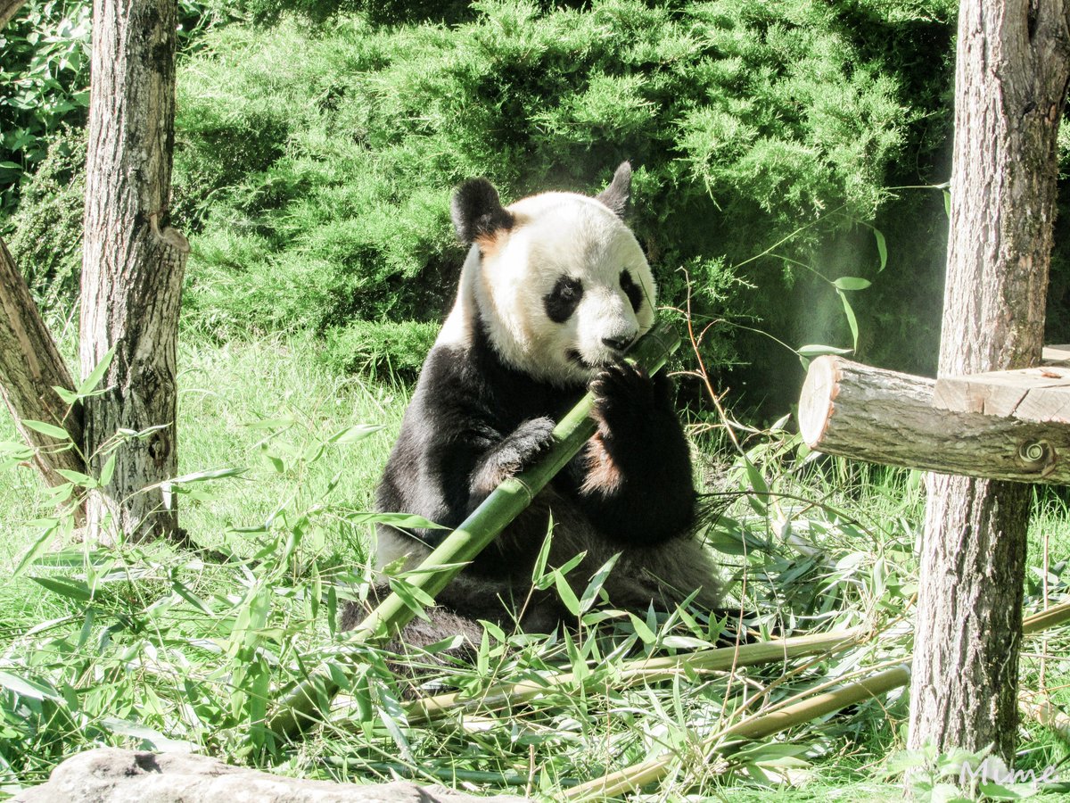 Carole Leger Caroleleger Twitter