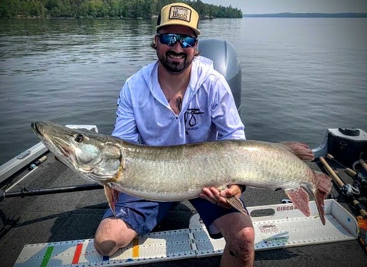 MuskyInsider's tweet image. Big congrats to @wedlerjr on poppin' this big 52.5 inch monster 'skie. Impressive specimen! We're also diggin' the lucky @thornebros hat 👍

_______

Our MAIN DEAL at Musky Insider is our once-per-week newsletter that we send directly to you email inbox every week 100% free 📧…