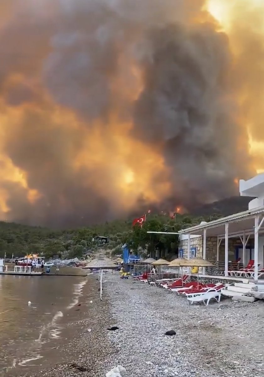Milas Belediye Başkanı: “Sabahtan beri feryat ettik, hava desteği dedik, hepimiz söyledik çırpındık. Anlatamadık ya da anlaşılamadık. Gelin şimdi ziyaret edin bakalım ne hale gelmiş güzelim Çökertme.”