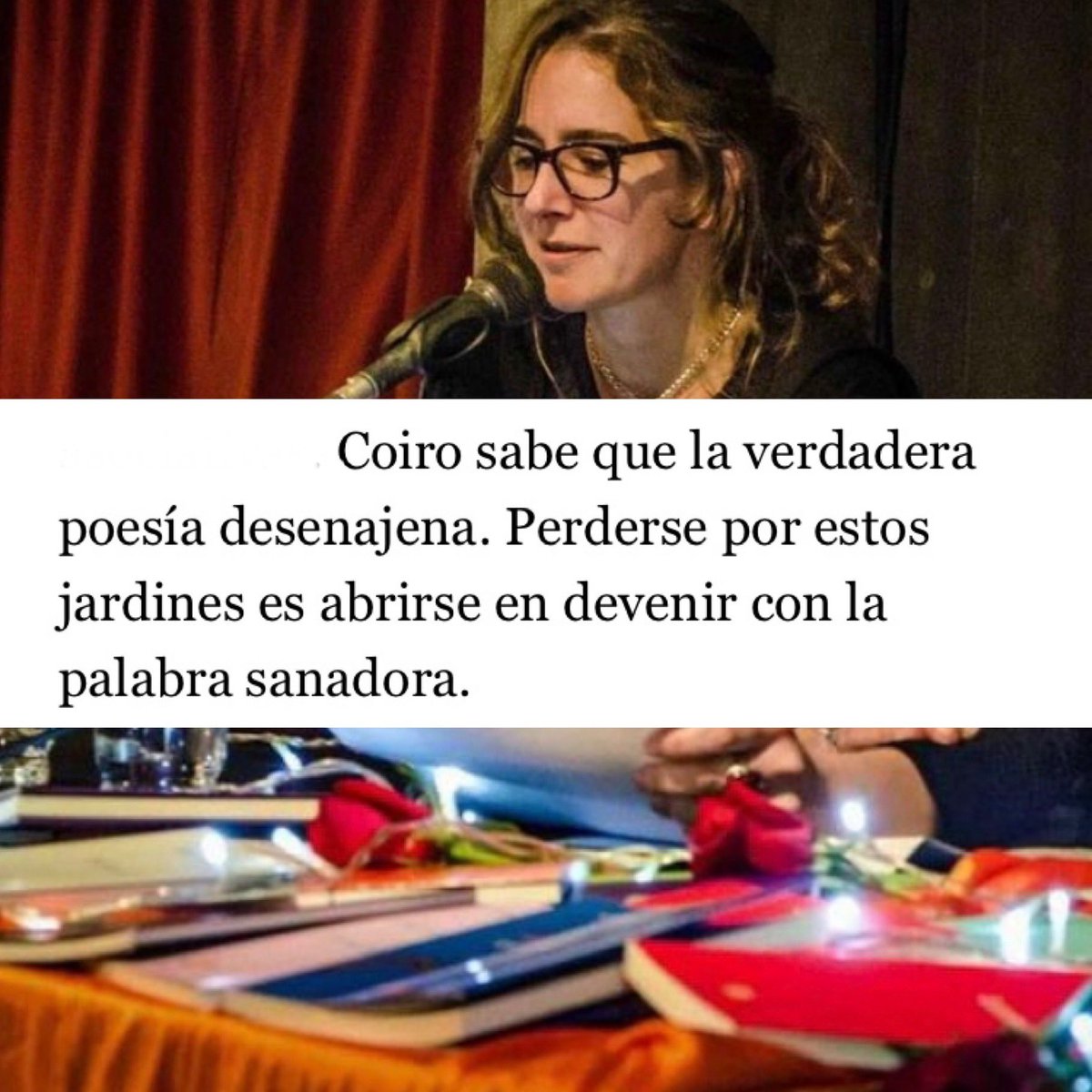 Viajera Editorial tweet media