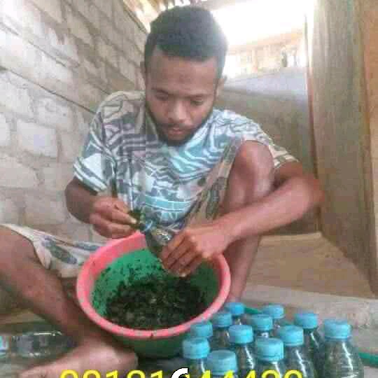 ADO05047848's tweet photo. Minat wa.08121644430.harga daun bungkus 500 rb area manokwari papua https://t.co/WW7GrsgPQ1