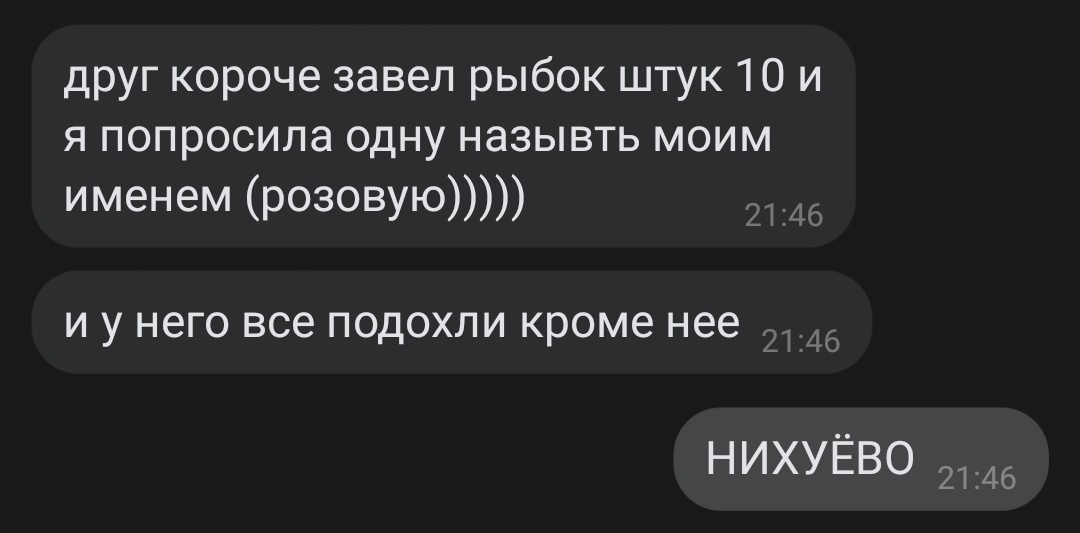 Вечер апиздахуительных историй...