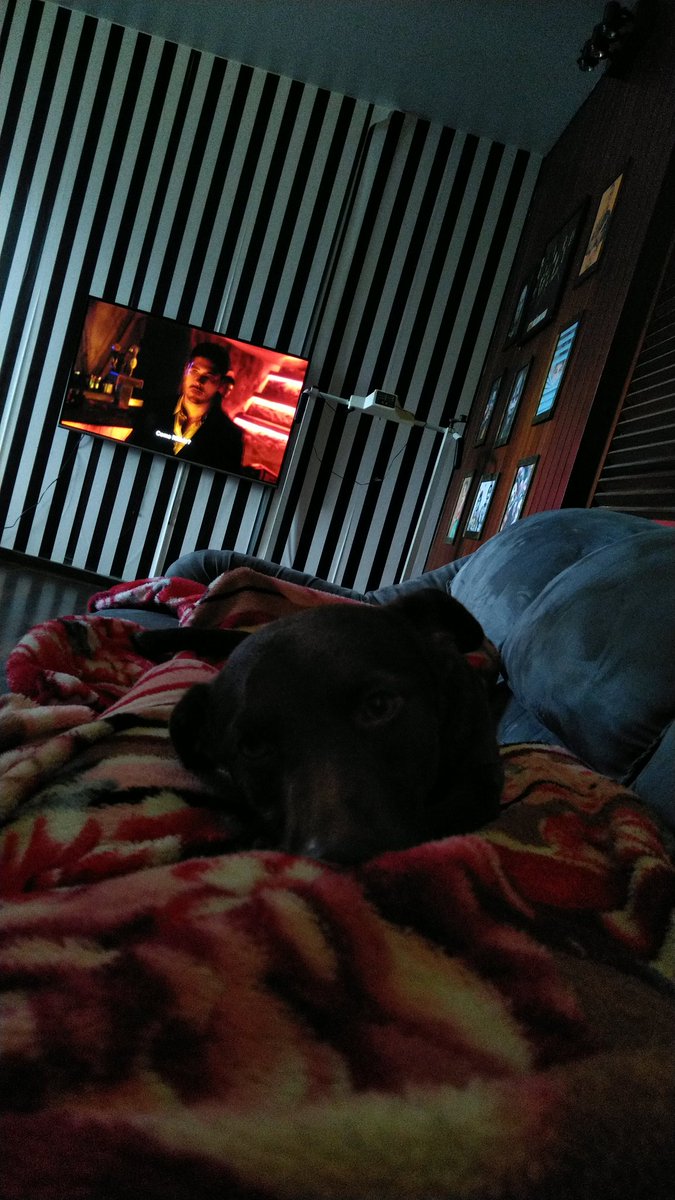 fellrios's tweet photo. Assistindo "Um drink no Inferno" com a Izzy nesse domingo preguiçoso 😂😍 https://t.co/R03klkl2j4