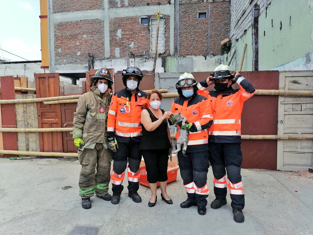 BomberosGYE's tweet photo. Una pequeña gatita que se encontraba atrapada entre las paredes de un edificio en Luque y José Antepara, fue rescatada por la Unidad de Rescate Animal de @BomberosGYE. El pequeño felino se encuentra feliz con su dueña. #EstamosAqui #BCBG https://t.co/boKkjWaZZ5